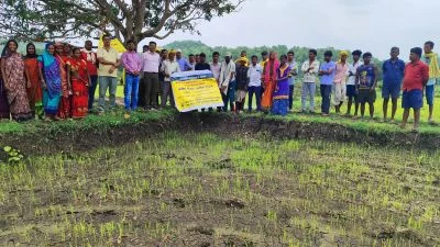 धान के सीधी बुवाई वाले खेत के किनारे किसान और वैज्ञानिकों का समूह